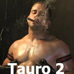 Tauro
